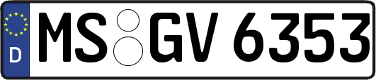 MS-GV6353