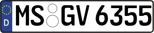 MS-GV6355