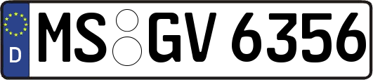 MS-GV6356