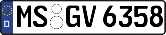 MS-GV6358