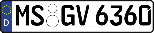 MS-GV6360