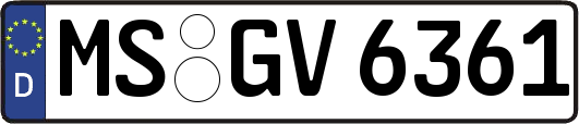 MS-GV6361