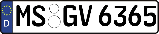 MS-GV6365