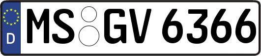 MS-GV6366