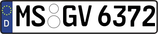 MS-GV6372