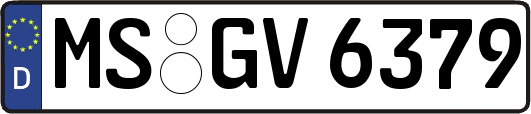 MS-GV6379