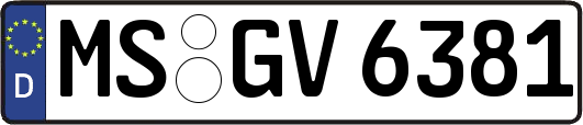 MS-GV6381