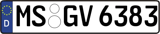 MS-GV6383