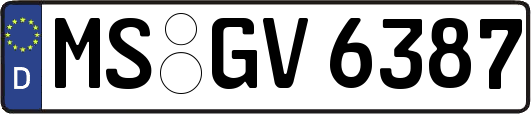 MS-GV6387