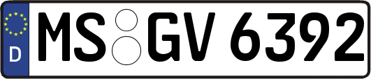 MS-GV6392