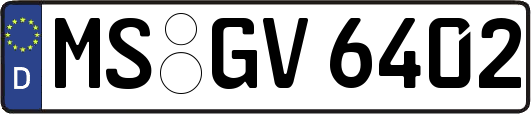 MS-GV6402