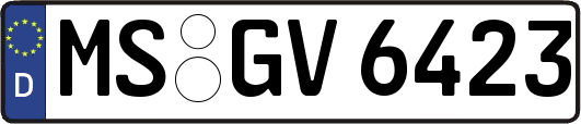 MS-GV6423