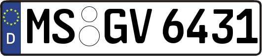 MS-GV6431