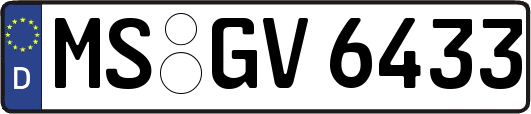 MS-GV6433