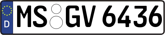 MS-GV6436