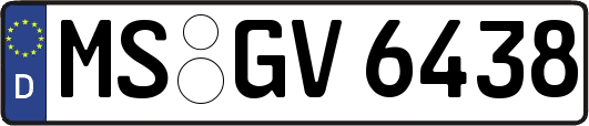 MS-GV6438