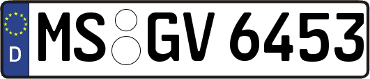 MS-GV6453