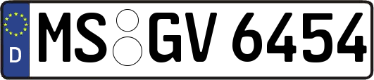 MS-GV6454