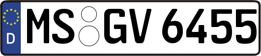 MS-GV6455