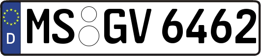 MS-GV6462