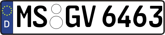 MS-GV6463