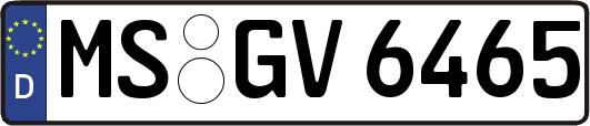 MS-GV6465