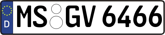 MS-GV6466