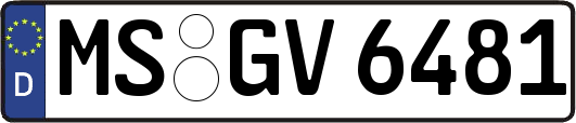 MS-GV6481