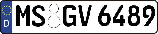 MS-GV6489