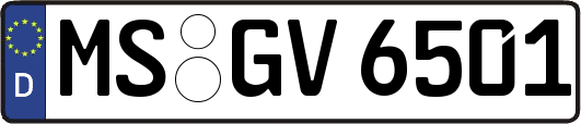 MS-GV6501