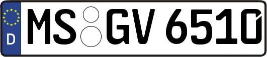 MS-GV6510