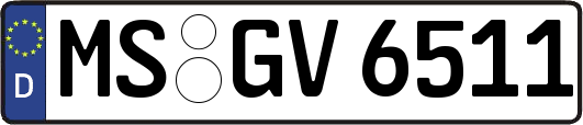 MS-GV6511