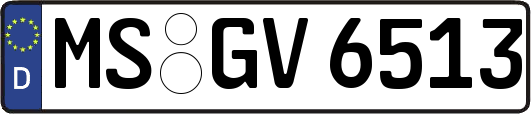 MS-GV6513