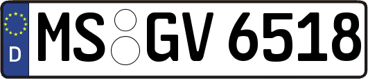 MS-GV6518