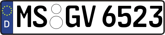 MS-GV6523