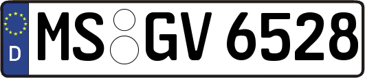 MS-GV6528