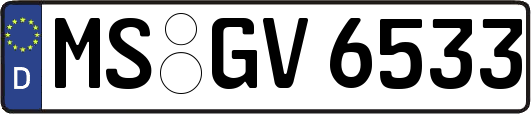 MS-GV6533