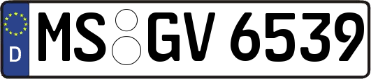 MS-GV6539