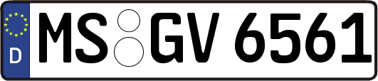 MS-GV6561
