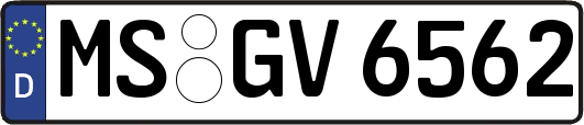 MS-GV6562