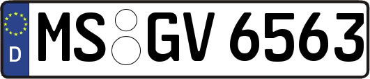 MS-GV6563