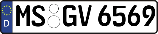 MS-GV6569