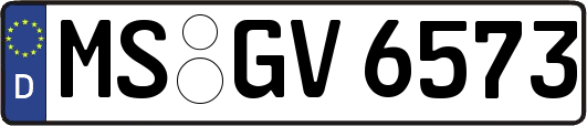 MS-GV6573