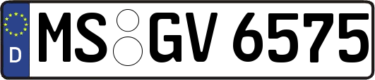 MS-GV6575