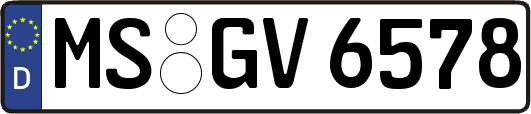 MS-GV6578