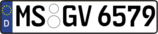 MS-GV6579