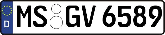 MS-GV6589