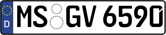 MS-GV6590