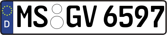 MS-GV6597