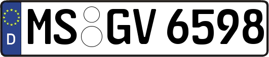 MS-GV6598